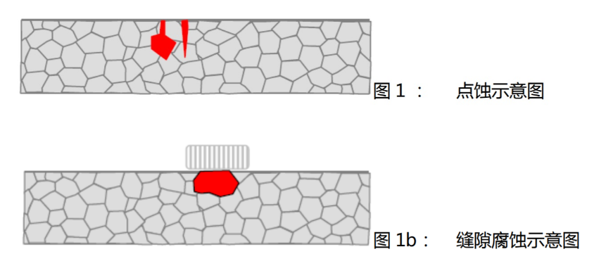 1700441943662000.jpg 1700441933430.jpg